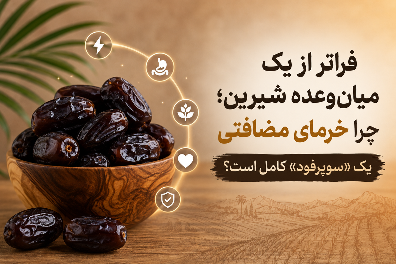 فراتر از یک میان‌وعده شیرین؛ چرا خرمای مضافتی یک «سوپرفود» کامل است؟