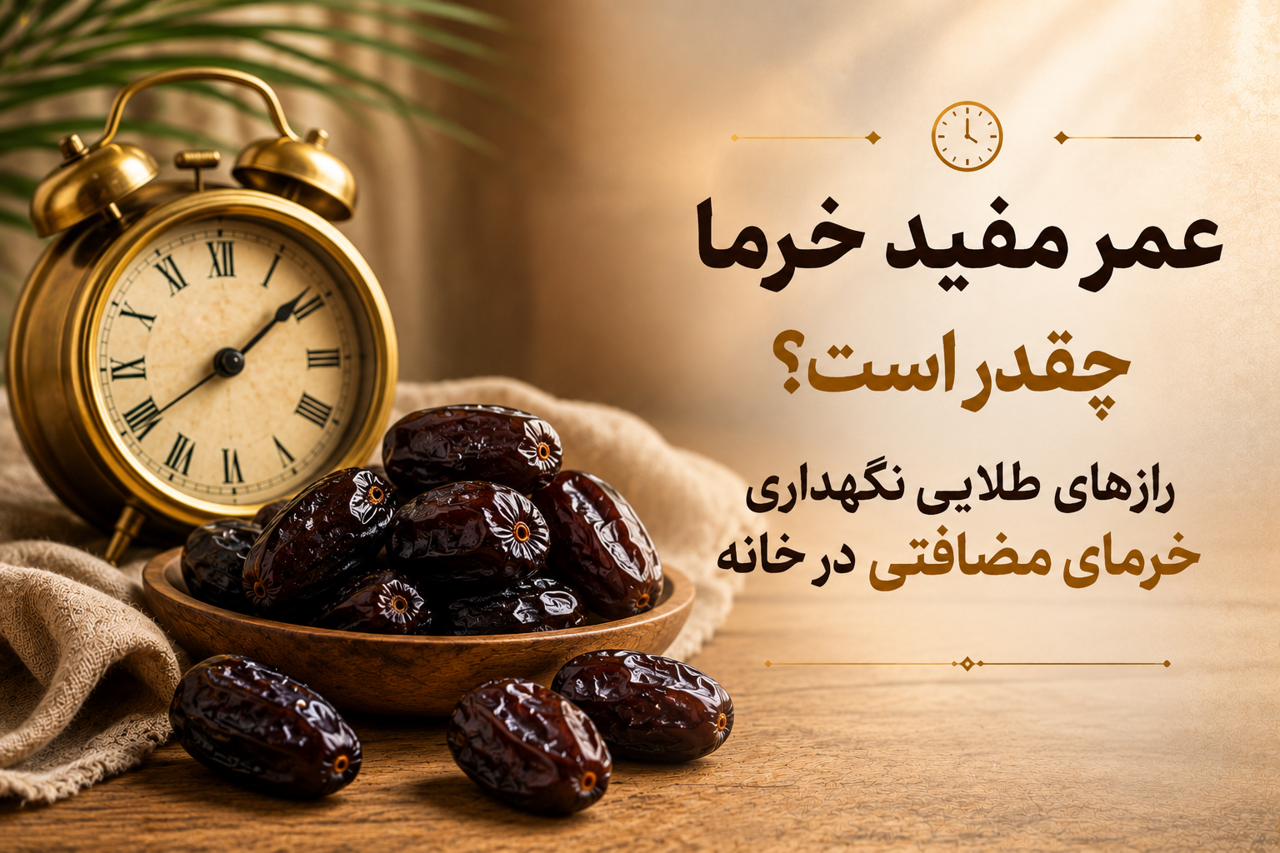 عمر مفید خرما چقدر است؟ رازهای طلایی نگهداری خرمای مضافتی در خانه